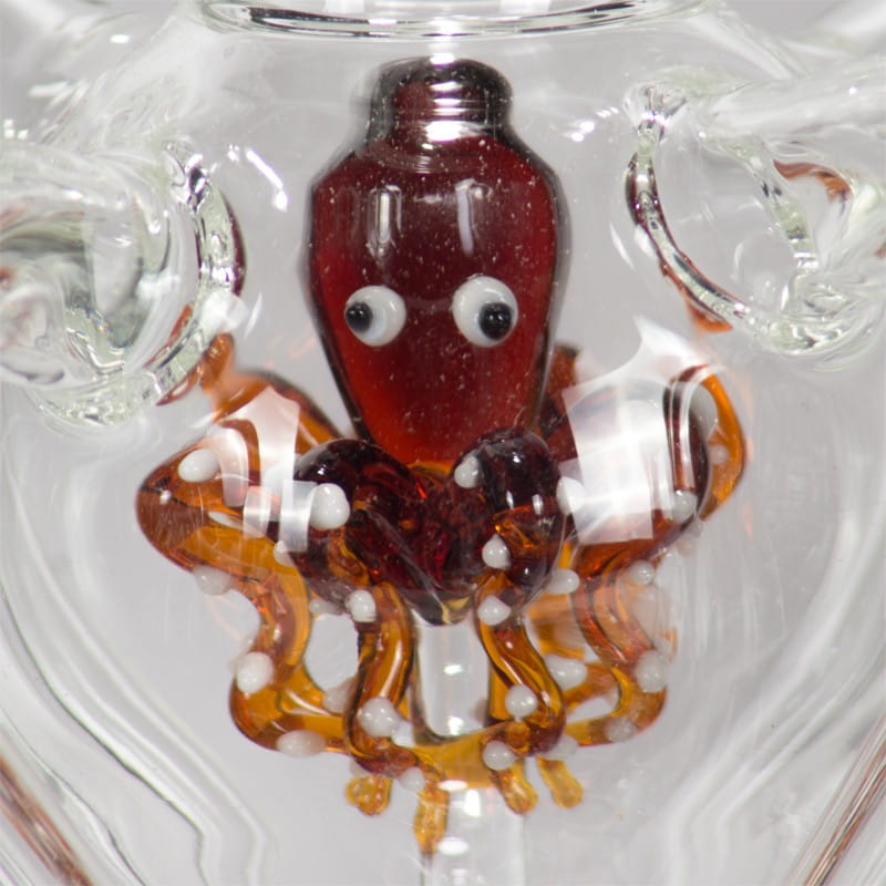 Octopuz Molassefänger - Amber unter ohne Angabe